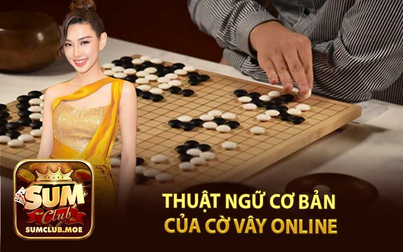 Thuật Ngữ Cơ Bản Của Cờ Vây Online